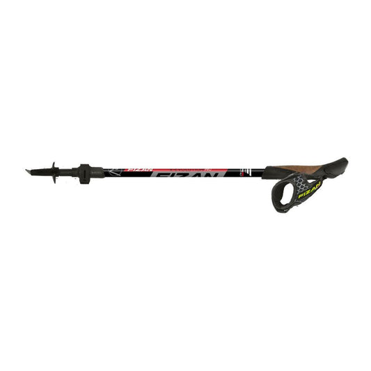 Fizan R-Evolution Pro Nordic Walking Poles (Pair) stock image
