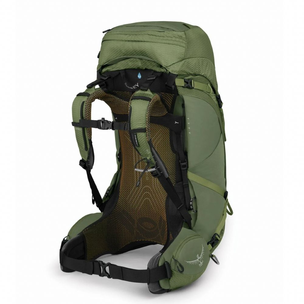 Green hiking backpack on a white background