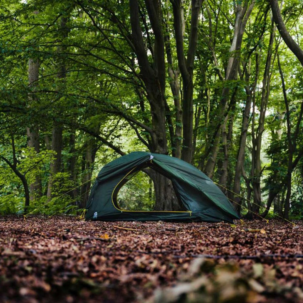 Sierra Designs Meteor 3000 2-Person Backpacking Tent in forest