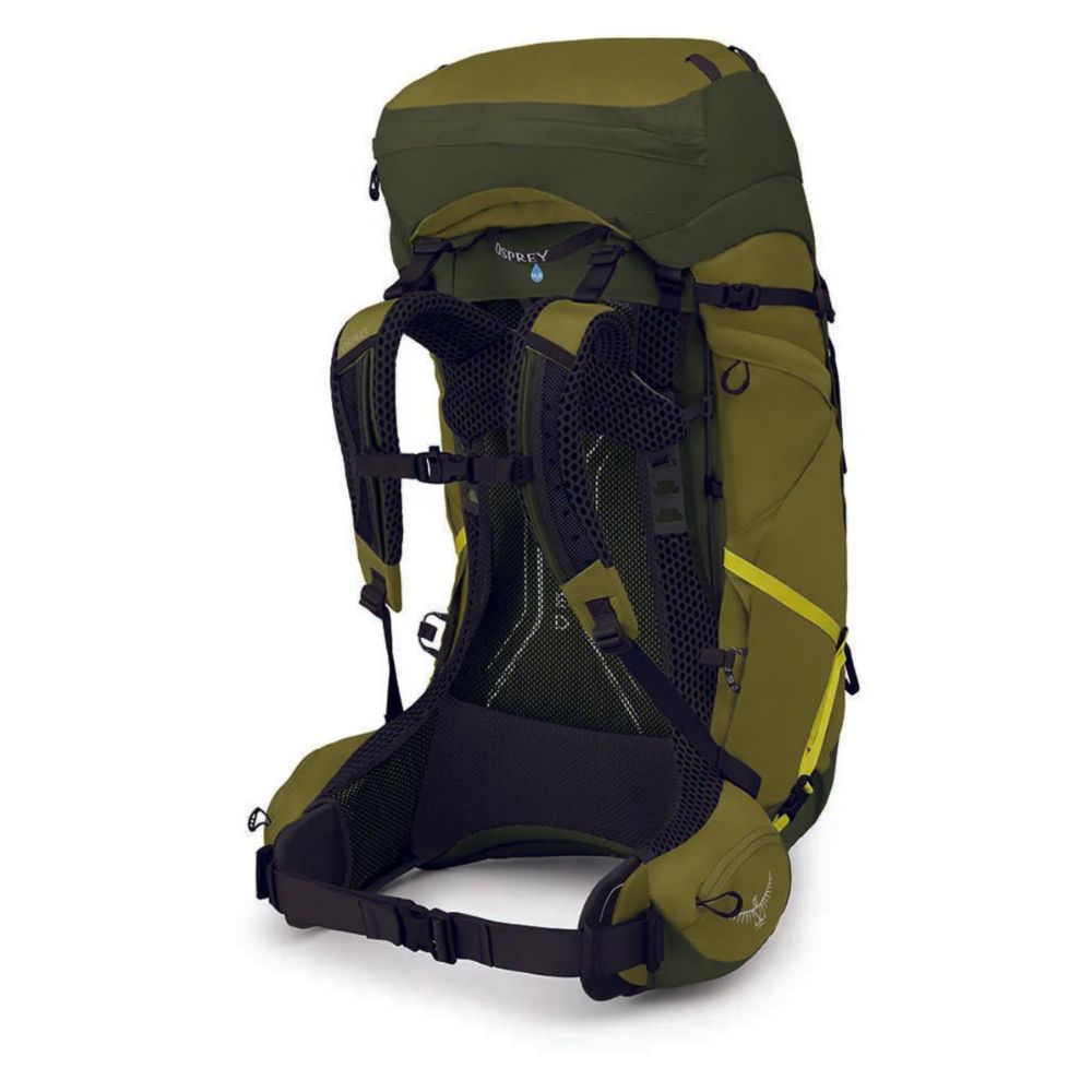 Green hiking backpack on a white background
