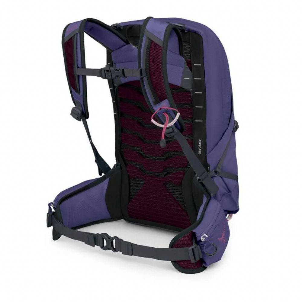Purple hydration backpack on a white background