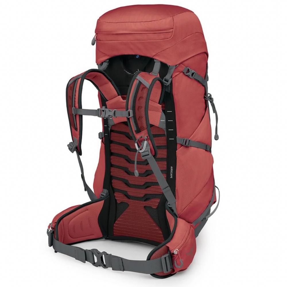 Red hiking backpack with black straps on a white background