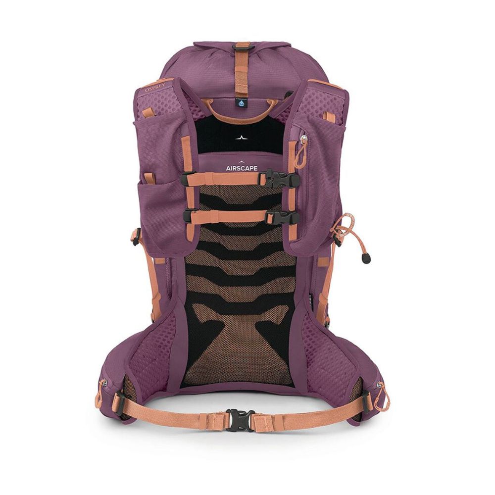 A purple and brown hiking backpack shown from the back, featuring a breathable mesh back panel, multiple compression straps, and a tan webbing strap with a plastic buckle at the bottom, set against a plain white background.