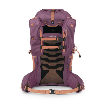 A purple and brown hiking backpack shown from the back, featuring a breathable mesh back panel, multiple compression straps, and a tan webbing strap with a plastic buckle at the bottom, set against a plain white background.